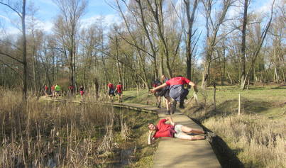 Dit doen wij