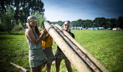 Sjorhout aankopen
