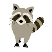 Wasbeer axenroos