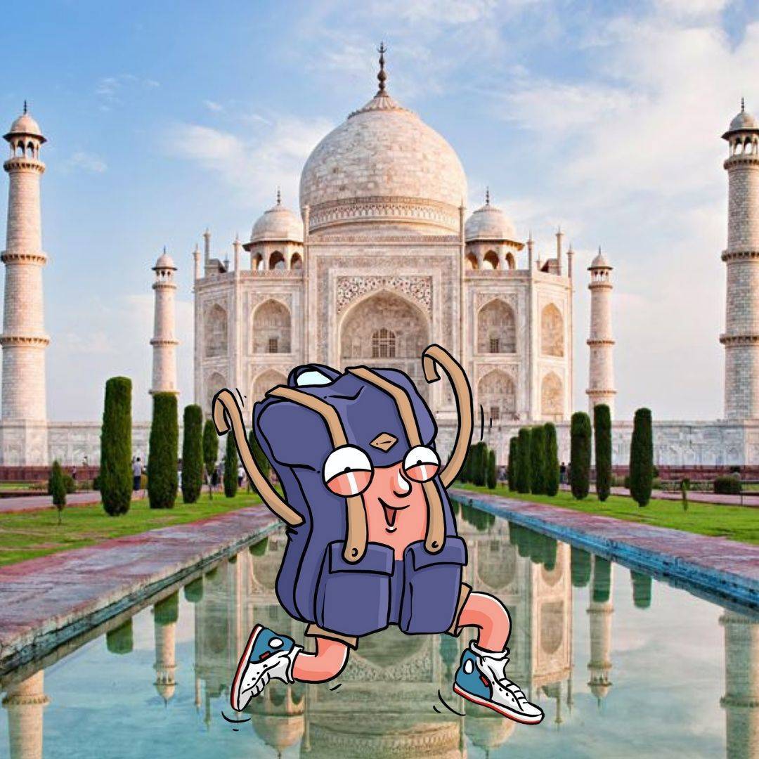 Robin Rugzak voor Taj Mahal